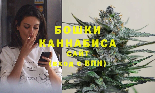 ешки Горняк