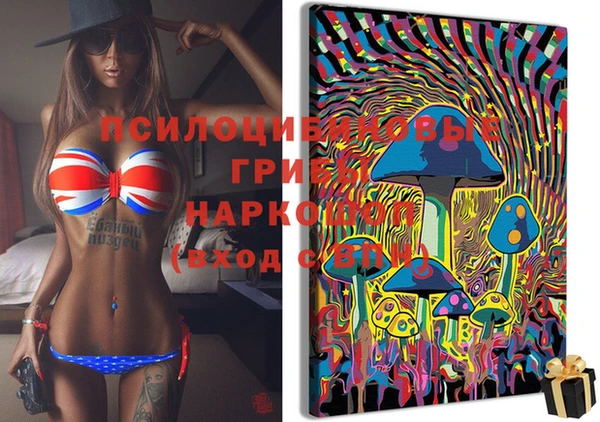 ешки Горняк