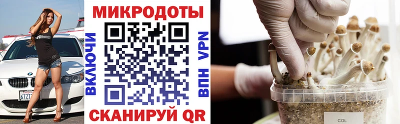 Псилоцибиновые грибы мицелий  Нязепетровск 